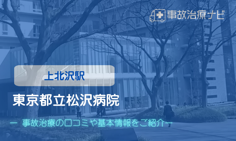 東京都立松沢病院　交通事故治療